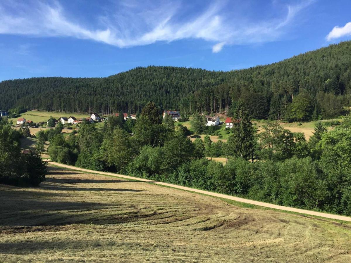 Ferienwohnung Herbert Best Baiersbronn Εξωτερικό φωτογραφία